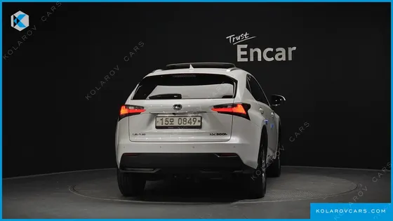 LEXUS NX EXECUTIVE