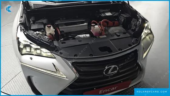 LEXUS NX EXECUTIVE