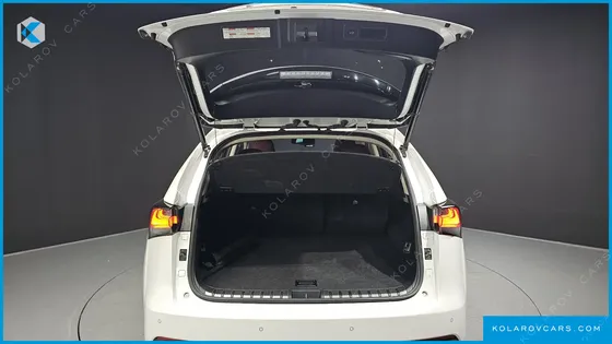 LEXUS NX EXECUTIVE