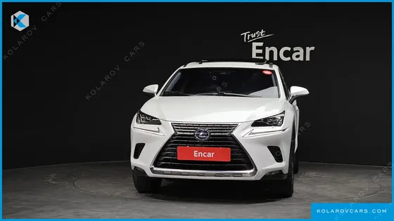 LEXUS NX SUPREME