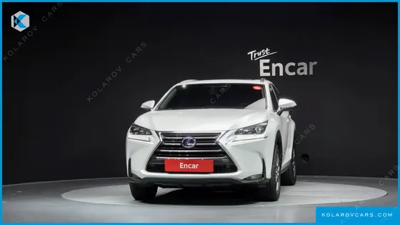 LEXUS NX SUPREME
