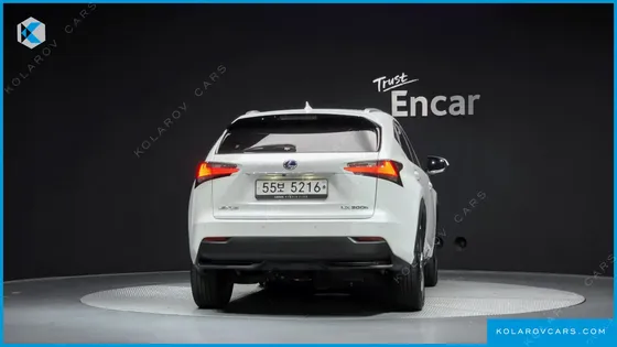 LEXUS NX SUPREME