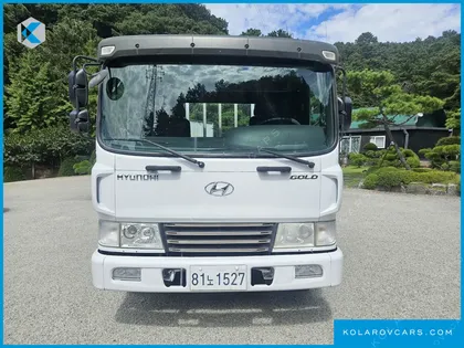 HYUNDAI MEGA TRUCK GOLD