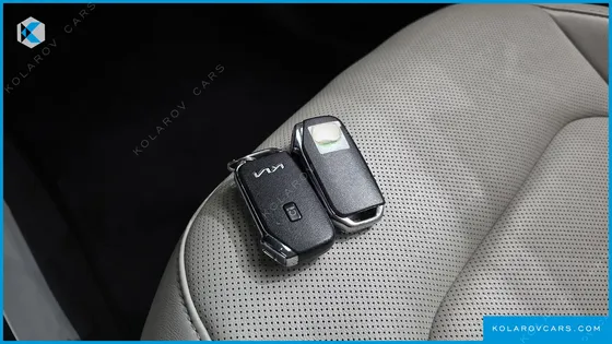 KIA NIRO EARTH