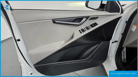 KIA NIRO EARTH