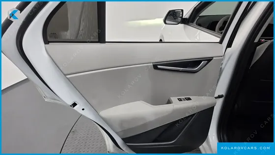 KIA NIRO EARTH