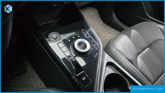 KIA NIRO EARTH