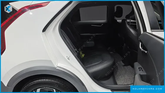 KIA NIRO EARTH