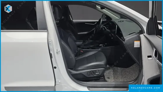 KIA NIRO EARTH
