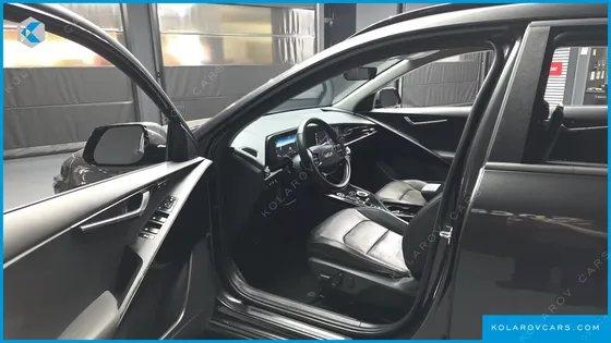 KIA NIRO EARTH