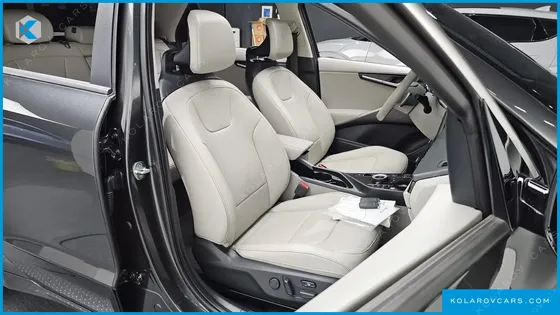 KIA NIRO EARTH