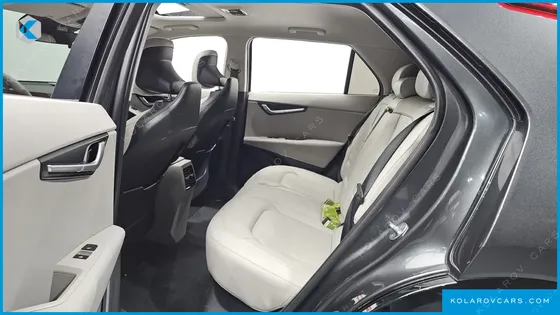 KIA NIRO EARTH