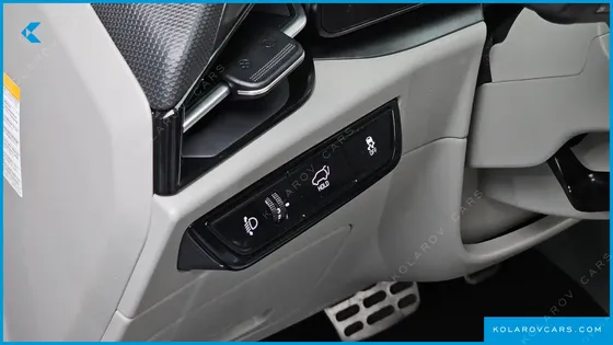 KIA NIRO EARTH