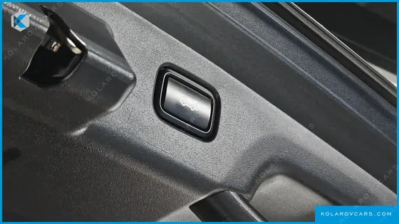 KIA NIRO EARTH