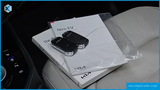 KIA NIRO EARTH