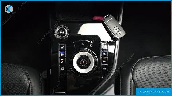 KIA NIRO EARTH