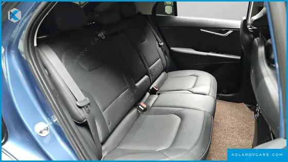 KIA NIRO EARTH