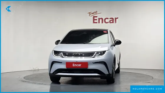 BYD DOLPHIN BASE
