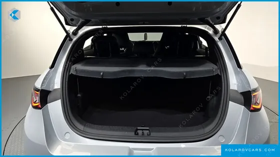 BYD DOLPHIN BASE
