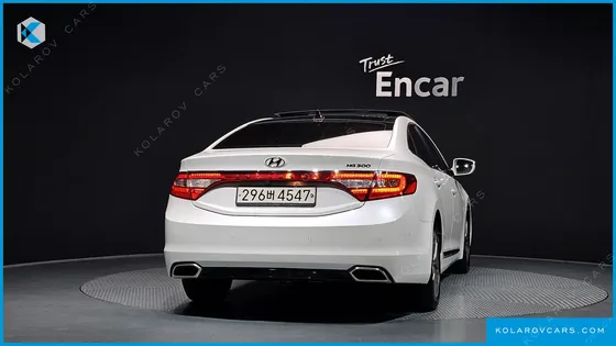 HYUNDAI GRANDEUR LPG HG300 HANDICAPPED ONLY