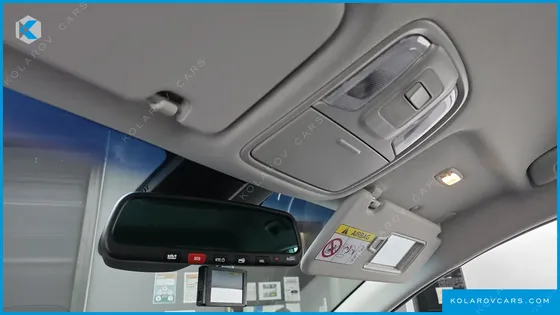 KIA NIRO EARTH