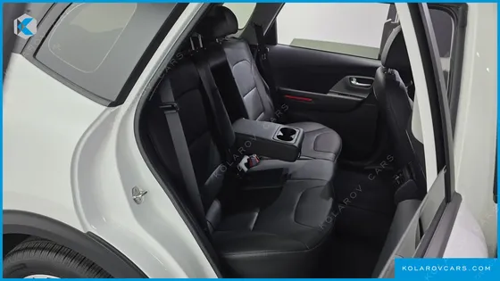 KIA NIRO EARTH