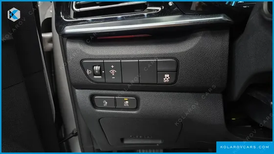 KIA NIRO EARTH