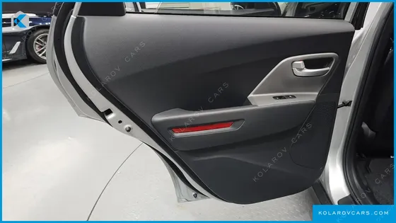 KIA NIRO EARTH
