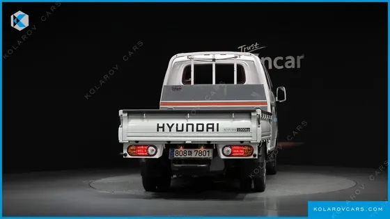 HYUNDAI PORTER II DOUBLE CABIN LPG