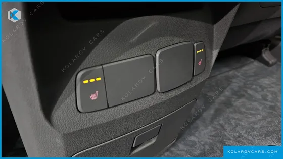 KIA CARNIVAL 9-SEATER LUXURY