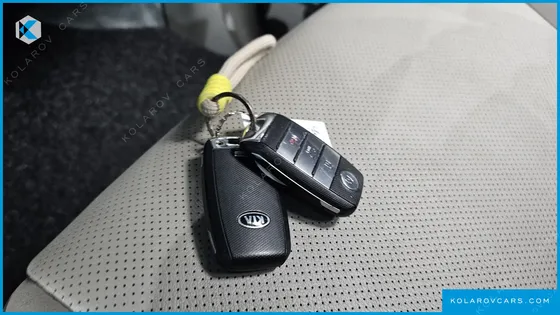 KIA CARNIVAL 9-SEATER LUXURY