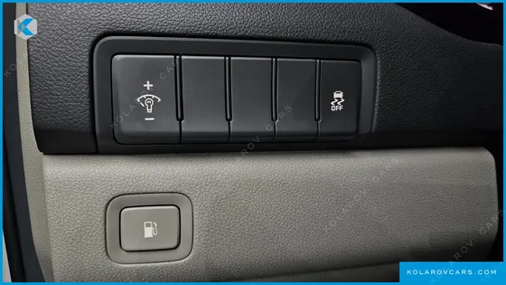 KIA CARNIVAL 9-SEATER LUXURY