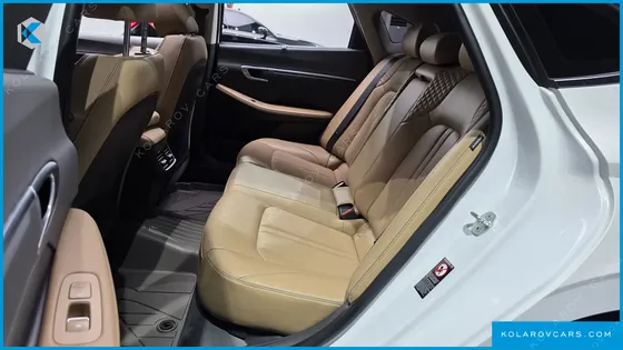 HYUNDAI SONATA 2.0 LPG(DISABLED PERSON)