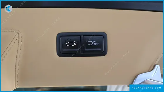 KIA CARNIVAL GASOLINE 9-SEATER HI LIMOUSINE (7-SEATER LIMOUSINE(SPECIAL VEHICLE)