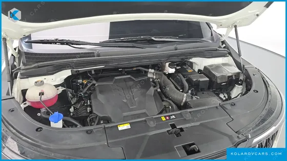 KIA CARNIVAL GASOLINE 9-SEATER PRESTIGE