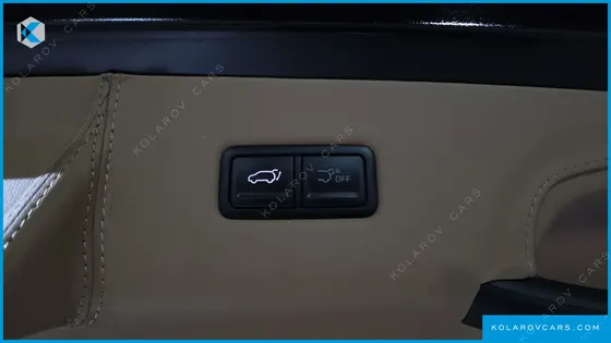KIA CARNIVAL GASOLINE 9-SEATER HI LIMOUSINE (7-SEATER LIMOUSINE(SPECIAL VEHICLE)