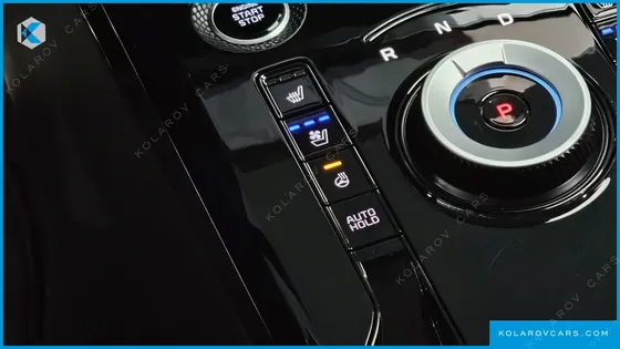 KIA NIRO SIGNATURE