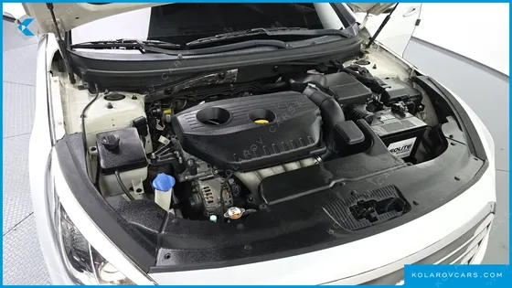 HYUNDAI SONATA LPI SMART(HANDICAPPED)