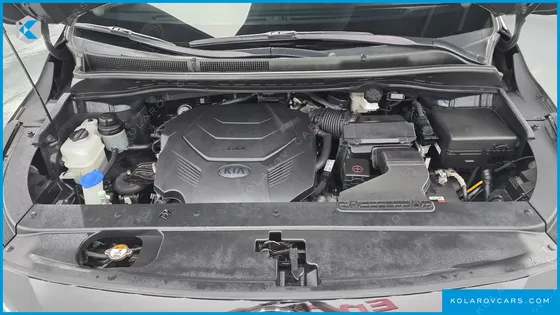 KIA CARNIVAL GASOLINE 7-SEATER HI-LIMOUSINE (SPECIAL)