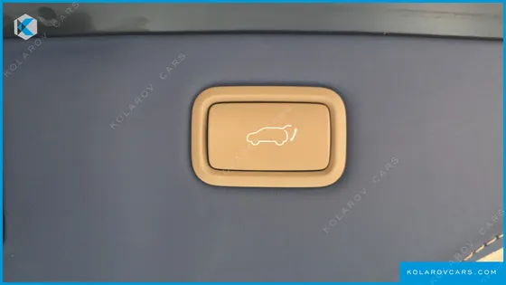 KIA CARNIVAL GASOLINE 7-SEATER HI-LIMOUSINE (SPECIAL)