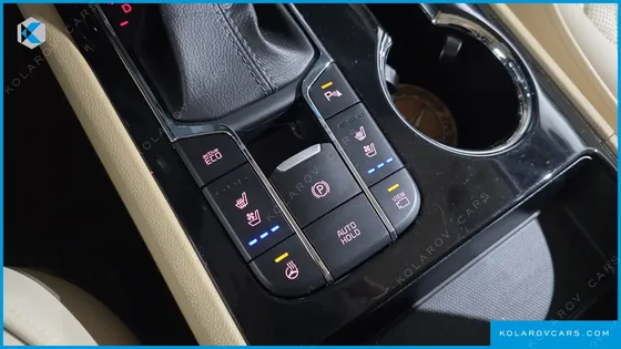 KIA CARNIVAL GASOLINE 7-SEATER HI-LIMOUSINE (SPECIAL)