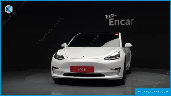 TESLA MODEL 3 STANDARD RANGE PLUE RWD