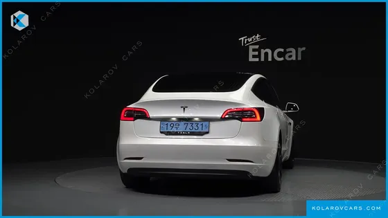 TESLA MODEL 3 STANDARD RANGE PLUE RWD