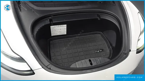 TESLA MODEL 3 STANDARD RANGE PLUE RWD