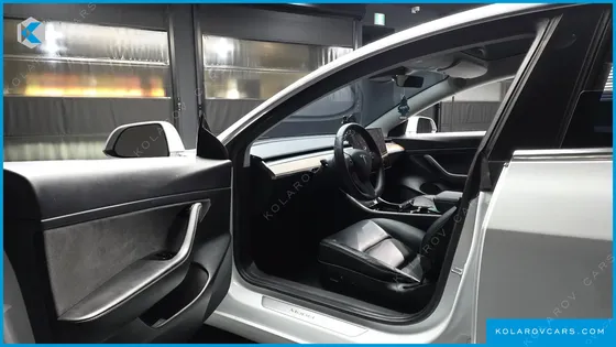 TESLA MODEL 3 STANDARD RANGE PLUE RWD