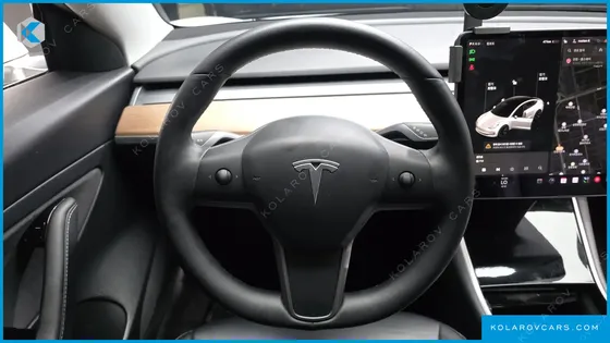 TESLA MODEL 3 STANDARD RANGE PLUE RWD