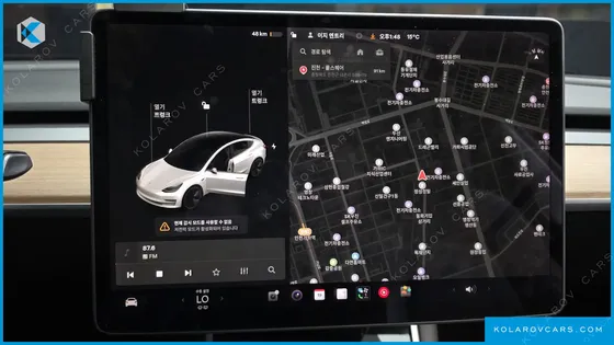 TESLA MODEL 3 STANDARD RANGE PLUE RWD