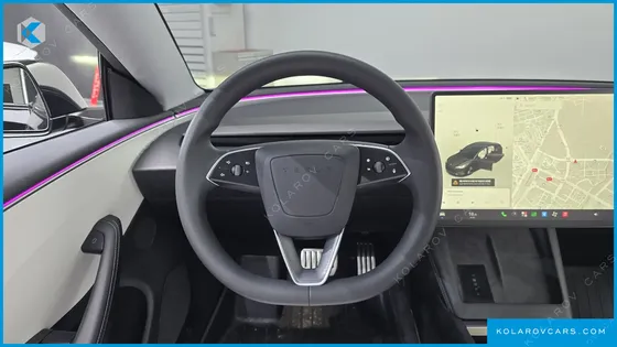 TESLA MODEL 3 PERFORMANCE AWD