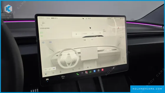 TESLA MODEL 3 PERFORMANCE AWD