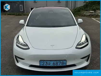 TESLA MODEL 3 STANDARD RANGE PLUE RWD